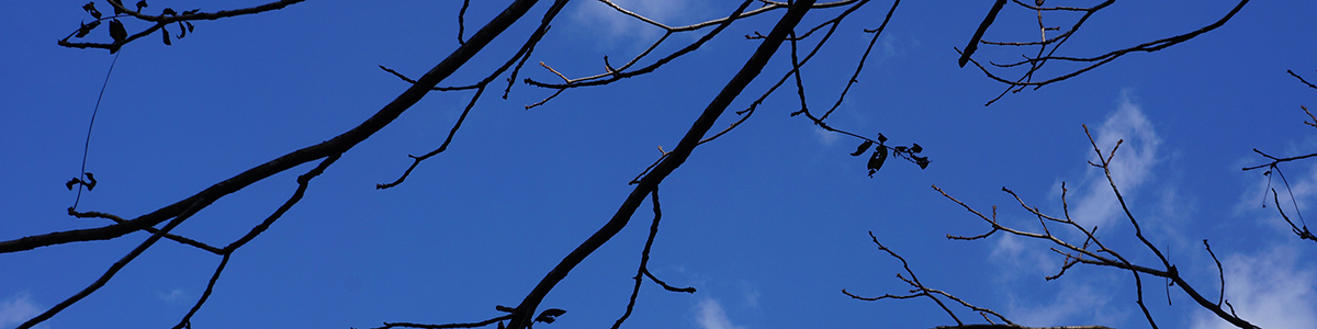 秋には芋煮会で盛り上がります